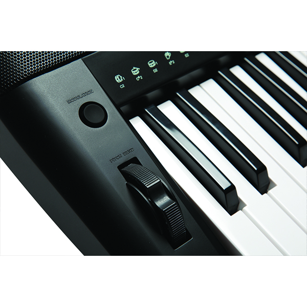 organ-kurzweil-k150-9