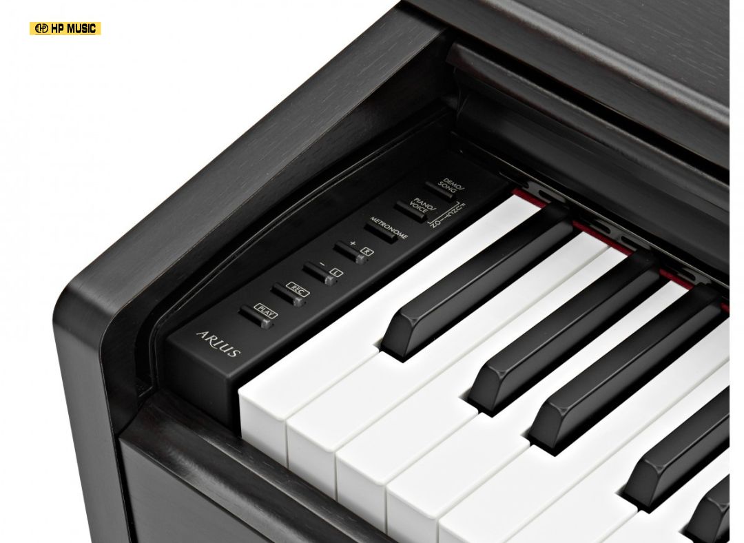 Yamaha ydp 145-5